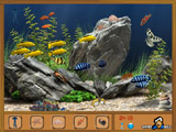 Hidden Objects - Under Water