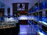 Escape from Fish Shop