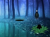 Doomed Place Escape