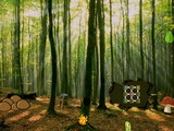 Ambient Forest Escape