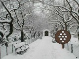 Central Snow Park Escape