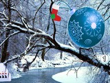Christmas Ball Forest Escape