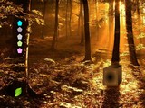 Easy Thanksgiving Forest Escape