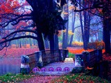 Fantasy Turkey Forest Escape