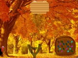 Forest House Turkey Escape
