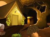 Primitive Forest Escape
