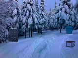 Snow River Forest Escape