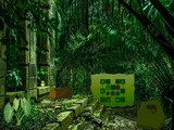 Turkey Jungle Escape