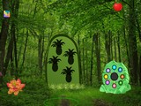 Aesthetic Forest Escape