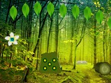 Amusing Forest Escape