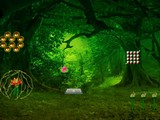 Flower to Fairy Girl Escape
