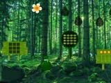 Green Pulp Forest Escape