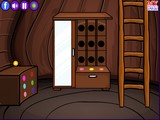 Secret Door Escape