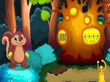 Unknown Forest Escape