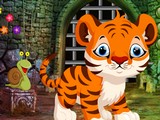 Cute Tiger Cub Rescue