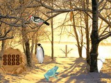 End of the Winter