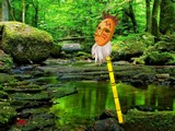 Giant Fruits Forest Escape