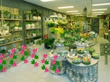 Nursery Plant Shop Escape