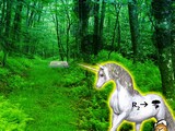Unicorn Fantasy Forest Escape