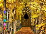 Easy Yellowish Forest Escape