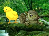 Extremely Squirrel Forest Escape