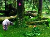 Hippo Jungle Escape
