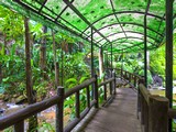 Nursery Garden