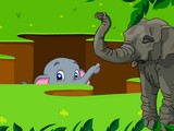 Elephant Rescue
