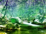Secret River Valley Escape
