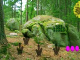 Trekking Rock Forest Escape