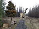 Abandoned Natural Park