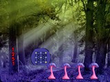 Antiquated Forest Escape