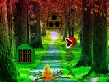 Broadleaf Forest Escape