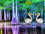 Duck Forest Escape