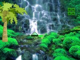 Eastern Forest Escape