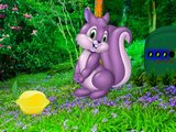 Funny Bunny Forest Escape