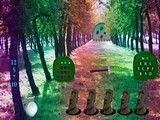 Homey Forest Escape