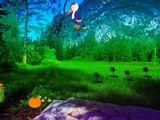 Woodpecker Forest Escape