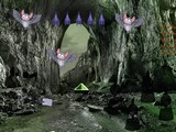 Adventures Treasure Cave Escape