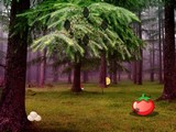 Grove Escape