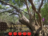 Mangrove Forest Escape