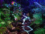 National Enchanted Forest Escape