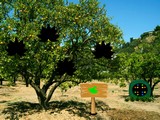 Orange Tree Forest Escape