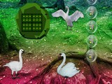 Swan Forest Escape