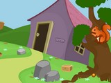 Acorn Escape