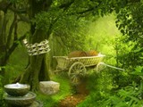 Asian Jungle
