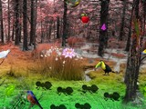 Bird Forest Escape