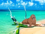 Coconut Farm Island Escape