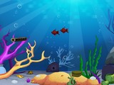 Deep Sea Fishes Rescue