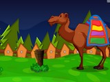 Dromedary Rescue